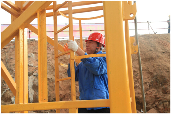 1447915995626155.jpg 8.jpg