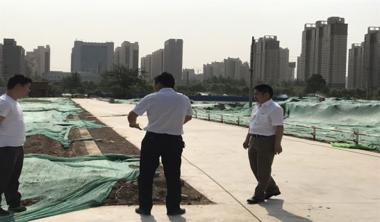 1497427918971591.jpg 33.jpg